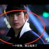 四不像正版+正版四不像凤凰312期
